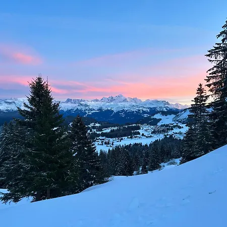 Praz De Lys Tmb Διαμέρισμα Taninges